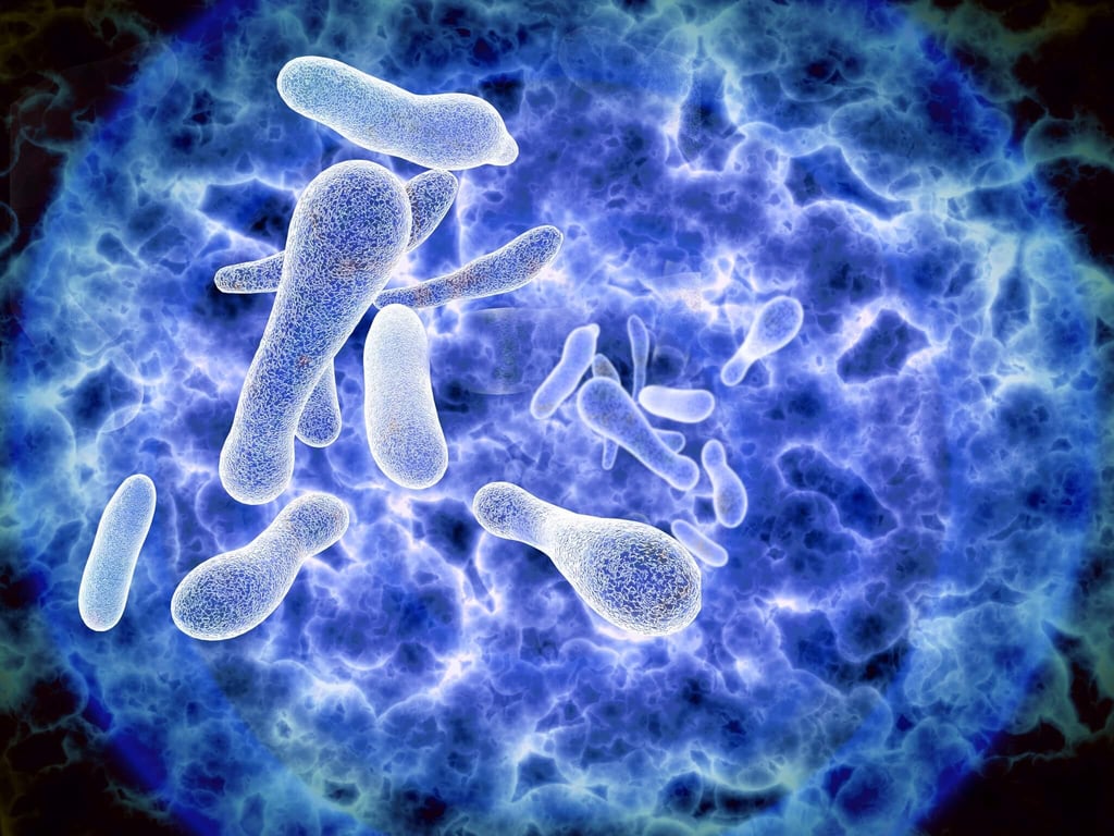 Legionella bacteria blue small sized